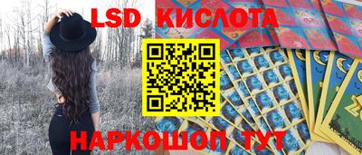мяу мяу мука Будённовск